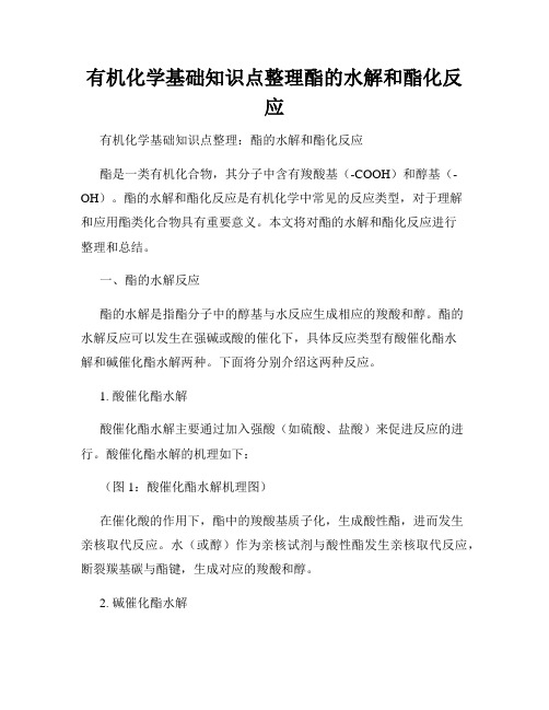 有机化学基础知识点整理酯的水解和酯化反应