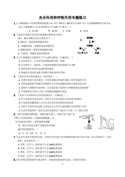 (完整版)光合作用和呼吸作用题练习题及答案