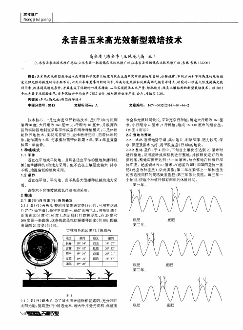 永吉县玉米高光效新型栽培技术