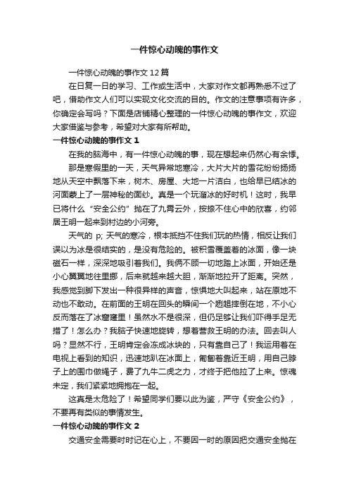 一件惊心动魄的事作文