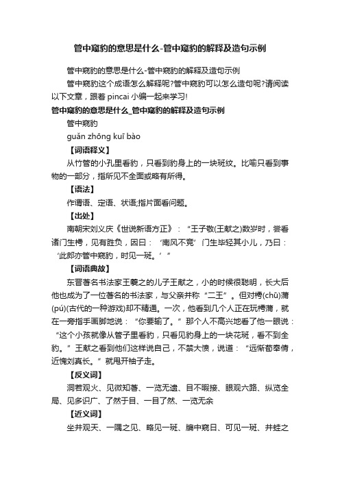 管中窥豹的意思是什么-管中窥豹的解释及造句示例