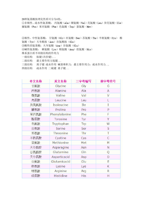 氨基酸性质