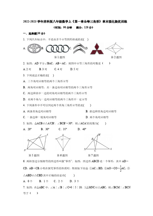 第1章 全等三角形 苏科版八年级数学上册章末强化提优训练(含答案)