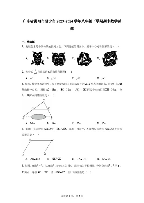 广东省揭阳市普宁市2023-2024学年八年级下学期期末数学试题