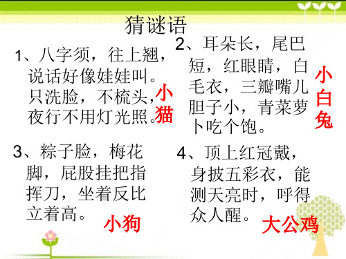 二年级下册 可爱的小动物--教学课件