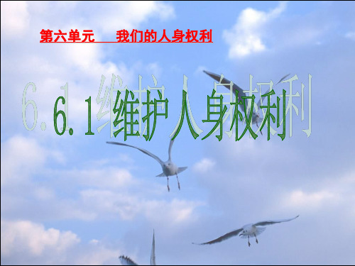 八年级政治下册 维护人身权力课件 粤教