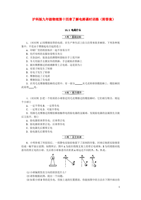 沪科版九年级物理第十四章了解电路课时训练(附答案)