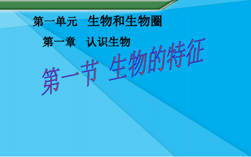 生物的特征PPT课件36 人教版优秀课件