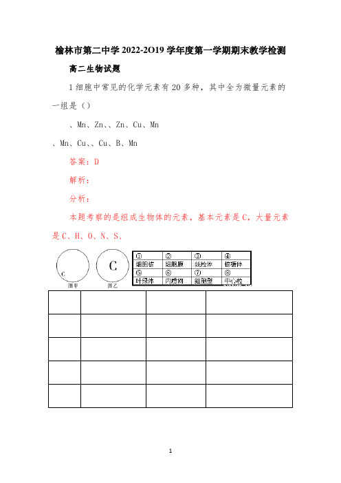 陕西省榆林市第二中学2022学年高二上学期期末考试生物试卷