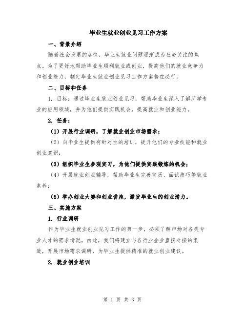 毕业生就业创业见习工作方案