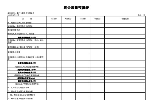 现金流量预算表 - 副本