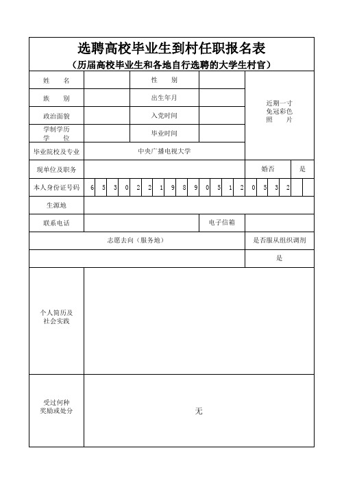 毕业生到村任职登记表Excel模板