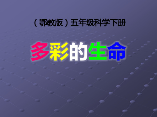 《多彩的生命》教学ppt课件(优选)