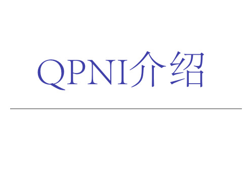 QPN-I介绍