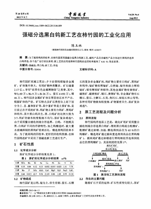 强磁分选黑白钨新工艺在柿竹园的工业化应用