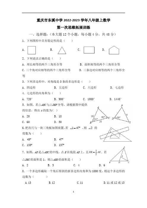 重庆市綦江区东溪中学2022-2023学年八年级上学期数学第一次思维拓展训练