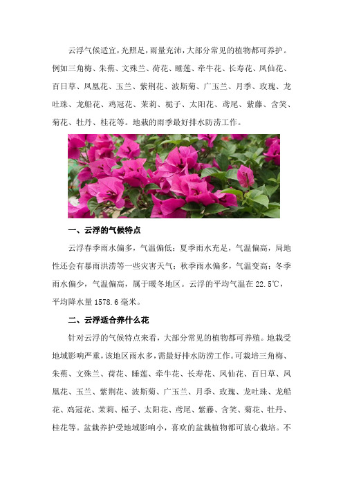 云浮适合养什么花,市花和市树是什么