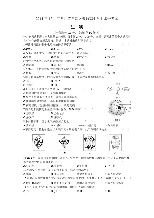 2014年12月广西壮族自治区普通高中学业水平考试生物试题及答案