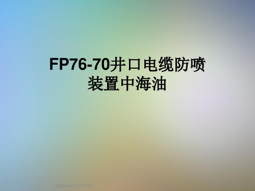 FP76-70井口电缆防喷装置中海油