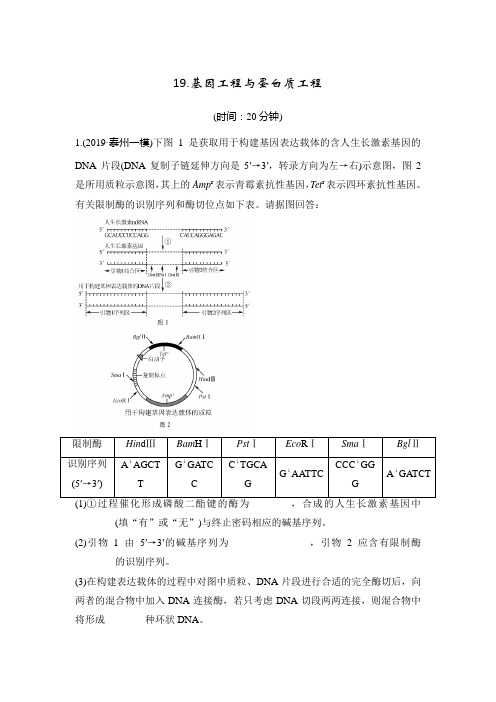 2020届江苏高考生物二轮复习考19.基因工程与蛋白质工程 