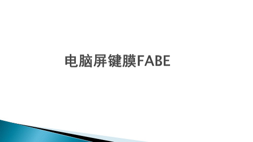 电脑屏键膜FABE解剖