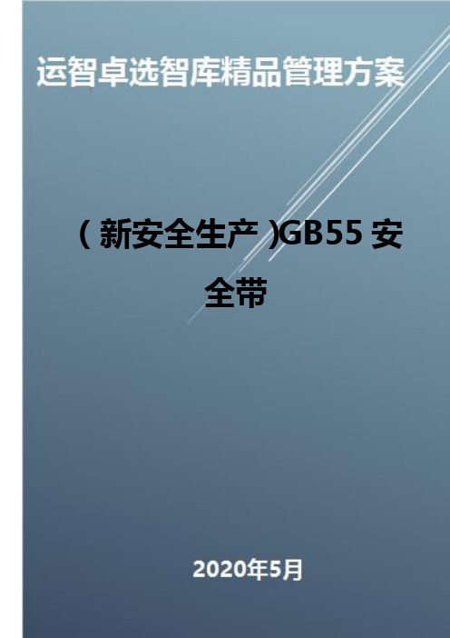 (新安全生产)GB55安全带