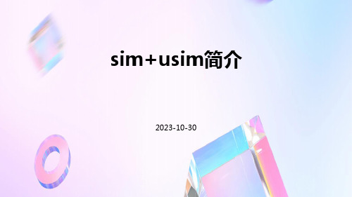 SIM+USIM简介