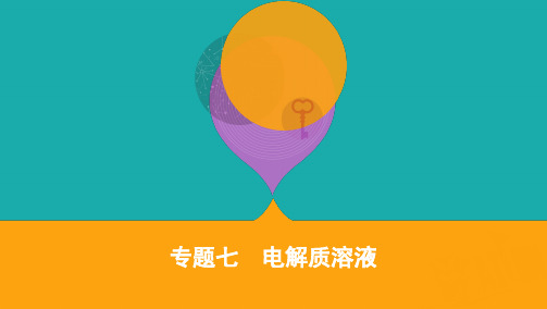 2020届高考化学课标版二轮课件:专题七 电解质溶液