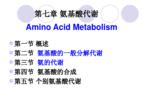 大学生物化学-氨基酸的代谢