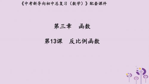 (湖北专用)2019中考数学新导向复习第三章函数第13课反比例函数课件