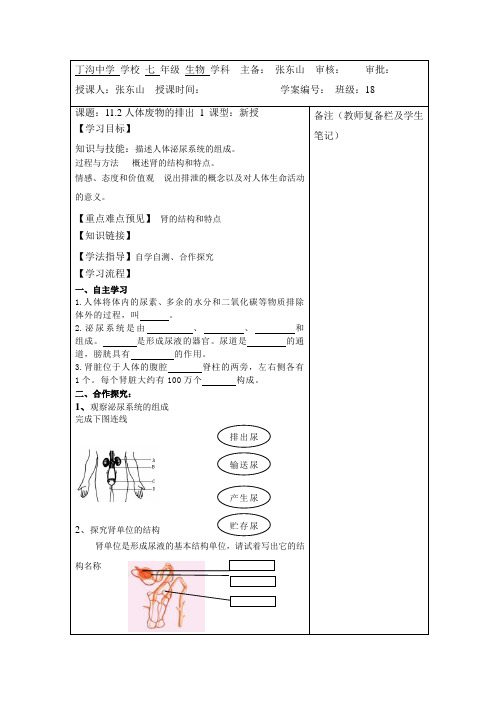 11.2 人体废物的排出1