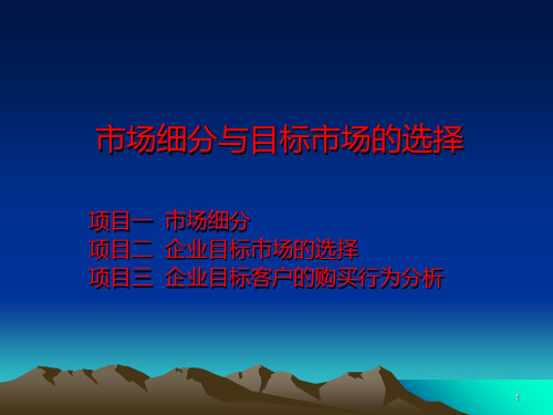 2市场细分目标市场选择及市场定位PPT课件