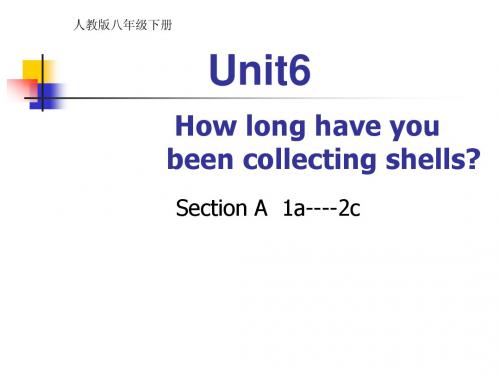 人教版初二八年级英语下册 How long have been collecting shells_la-2c PPT课件