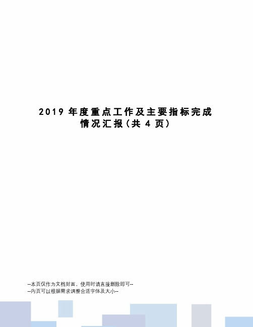 2019年度重点工作及主要指标完成情况汇报