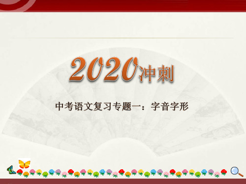 2020中考语文复习“三讲二练”20专题01：字音字形