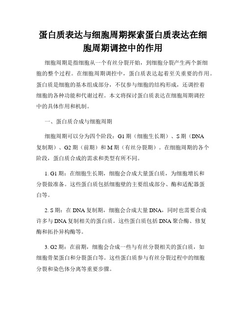 蛋白质表达与细胞周期探索蛋白质表达在细胞周期调控中的作用