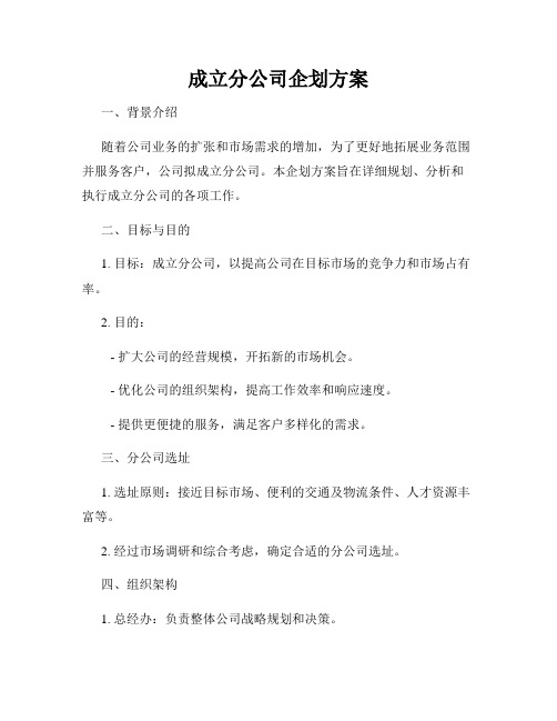 成立分公司企划方案