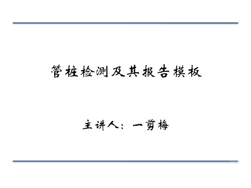 管桩检测及其报告模板