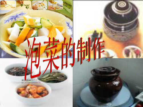 泡菜的制作方法_PPT