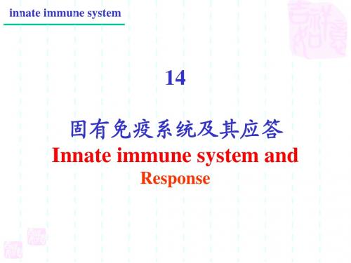 14固有免疫系统及其应答