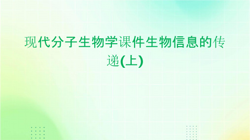 现代分子生物学课件()生物信息的传递(上)