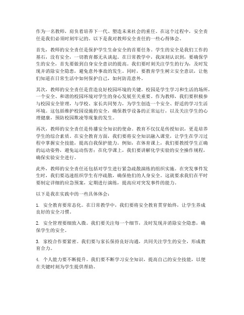 教师的安全责任心得体会