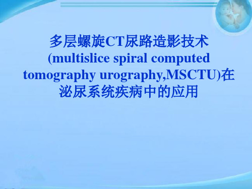 CTU在泌尿系疾病诊断的临床研究  PPT课件