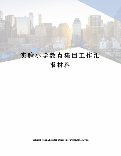 实验小学教育集团工作汇报材料