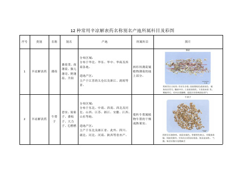 12种辛凉解表药名称别名产地所属科目及彩图