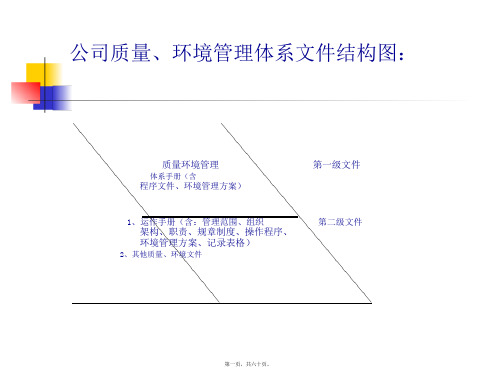 公司质量环境管理体系文件结构图