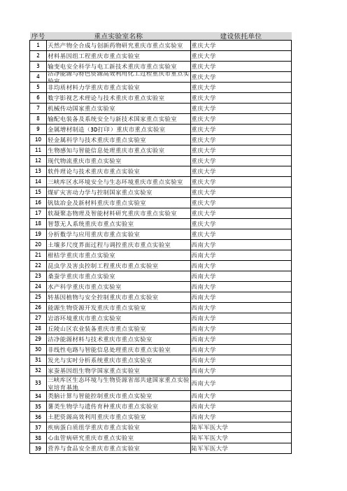 重庆重点试验室17