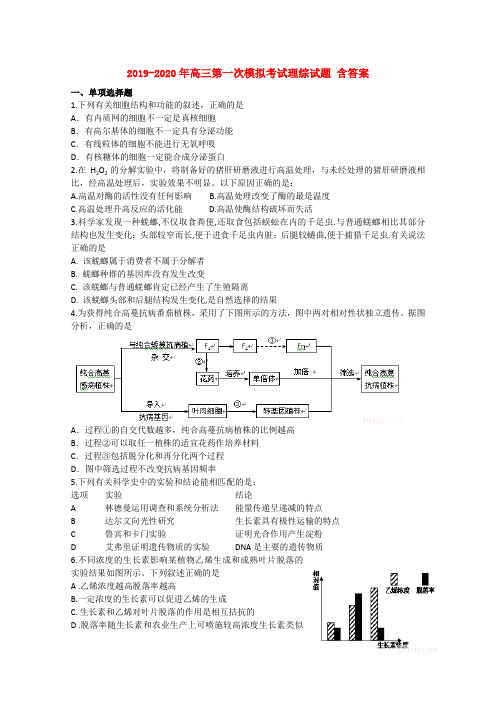 2019-2020年高三第一次模拟考试理综试题 含答案