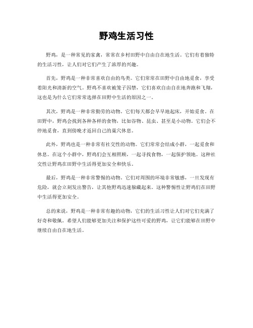 野鸡生活习性