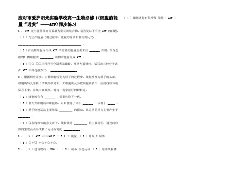 高一生物1《细胞的能量通货ATP》同步练习